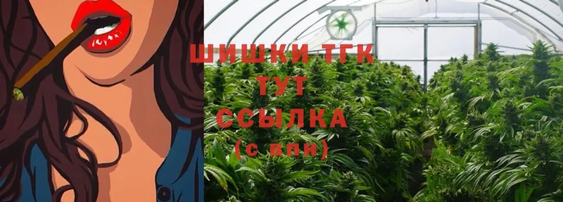 дарнет шоп  Калининец  мега онион  Шишки марихуана SATIVA & INDICA 